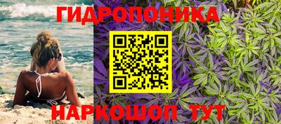 шишки Ачхой-Мартан