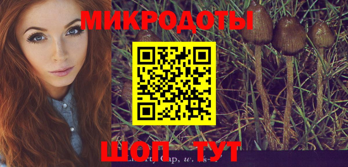Псилоцибиновые грибы мухоморы Казань