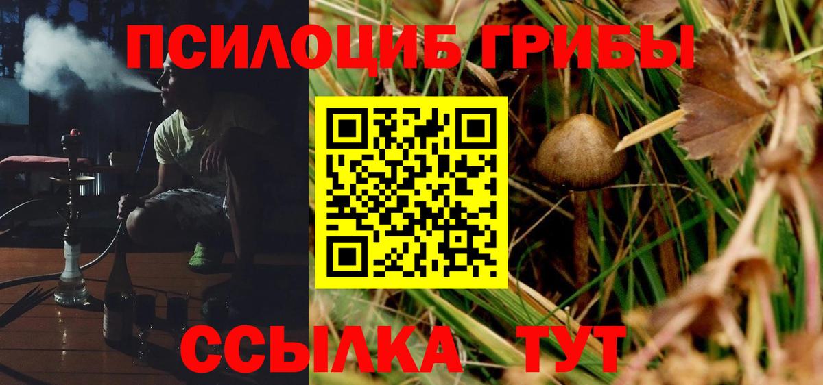 Галлюциногенные грибы Psilocybine cubensis  Вход с VPN  где продают   Казань 